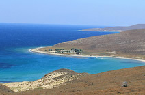 Νεφτίνα